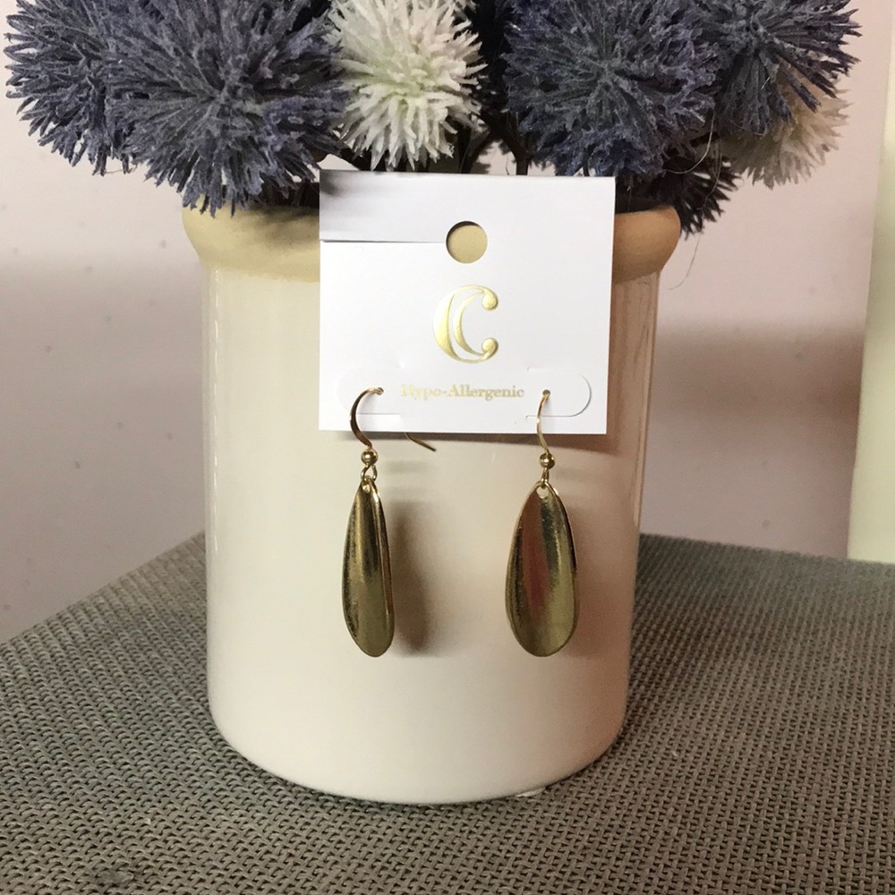 NWT pierced earrings
